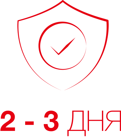 2-3 дня